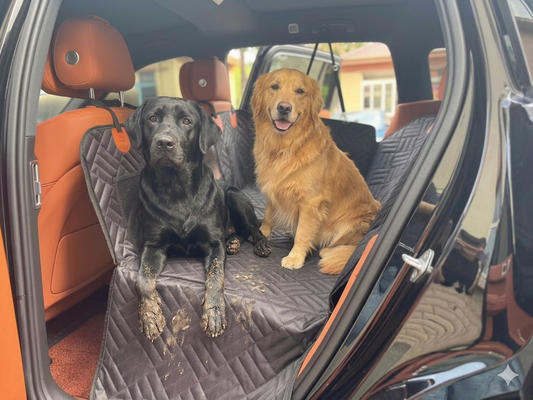 CAMA Hard Base Dog Car Seat Cover