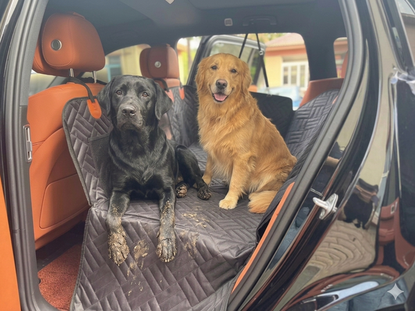 CAMA Hard Base Dog Car Seat Cover